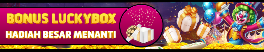 BONUS MYSTERY BOX